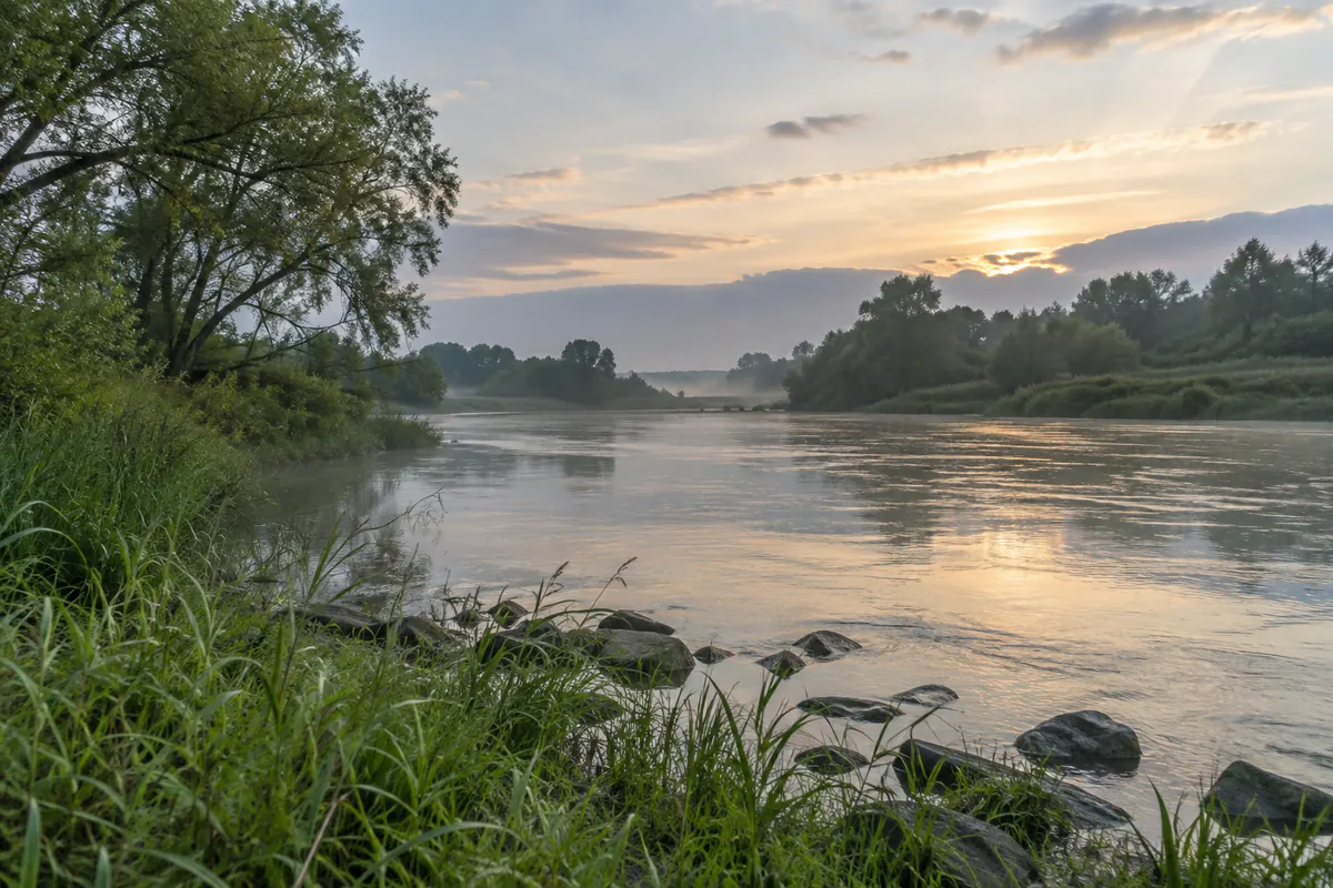 Breiter Fluss im Morgenlicht mit Nebel und Uferwald
