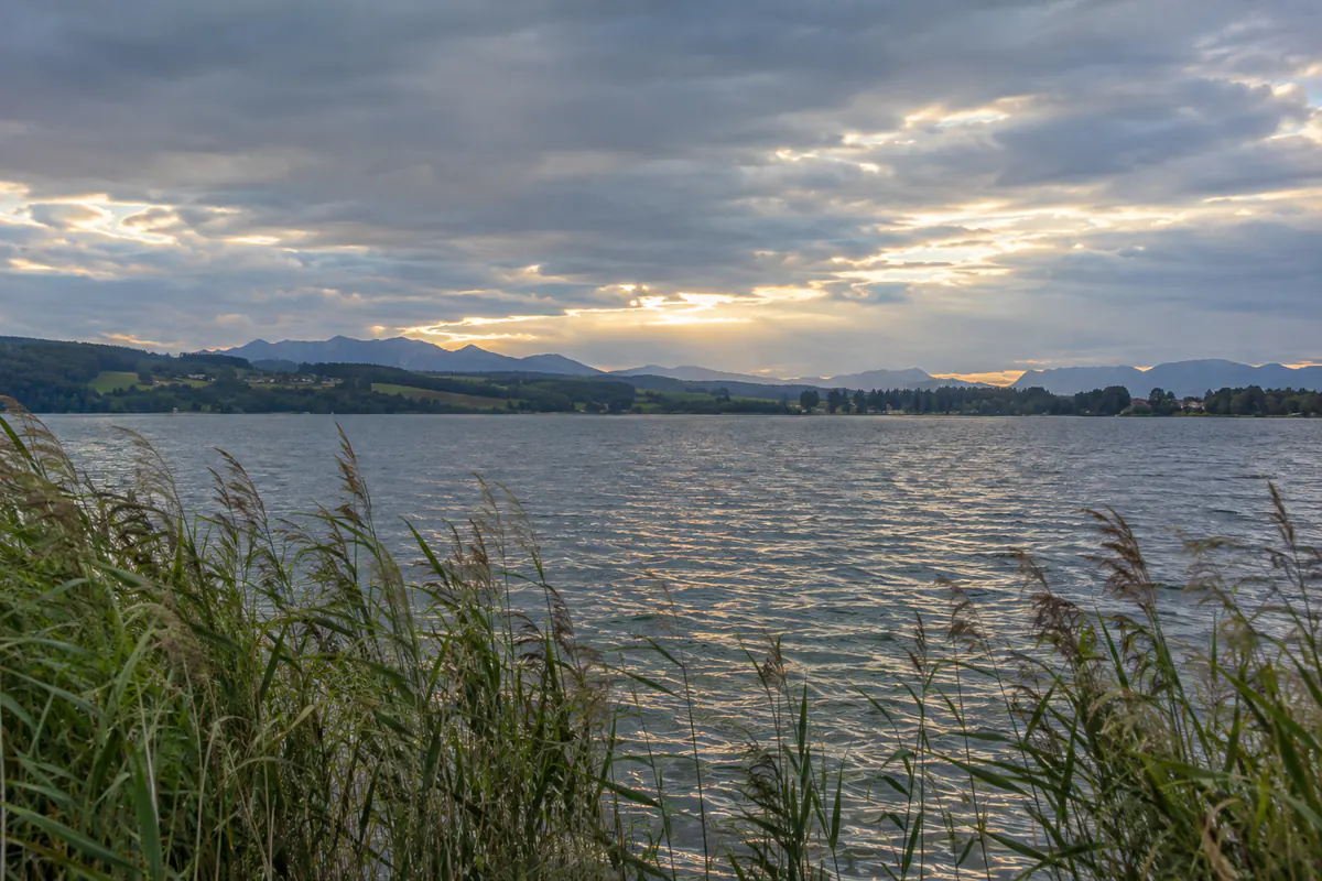 Wolken und Wind über einem See mit Schilfgürtel
