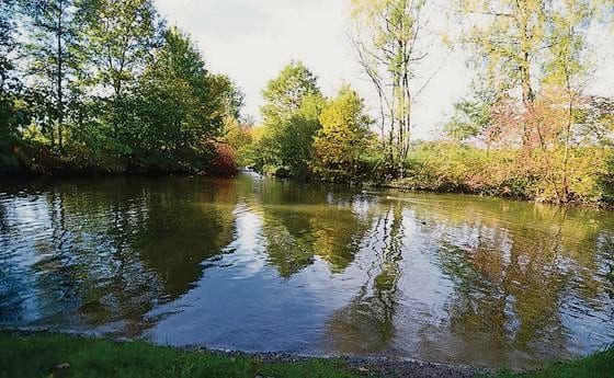 Aach — Fluss