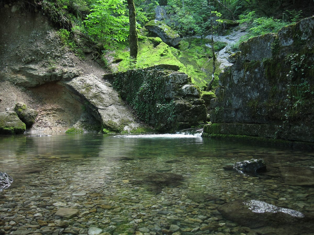 Allondon — Fluss