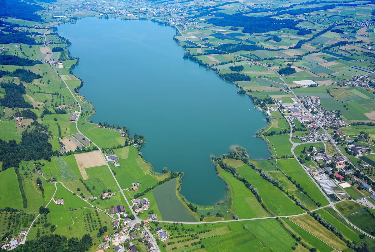 Baldeggersee — See
