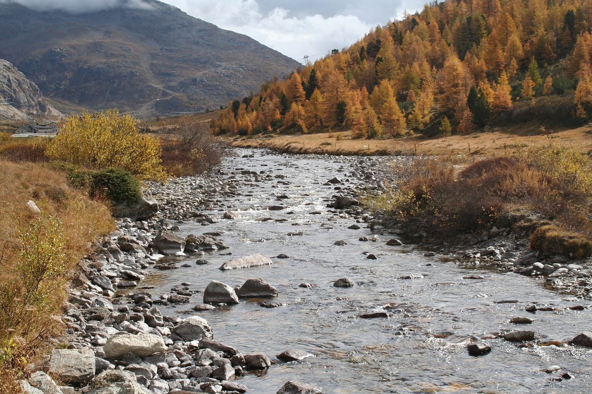 Berninabach — Fluss