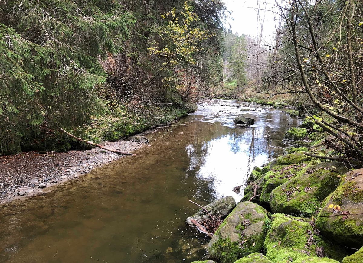 Biber — Fluss