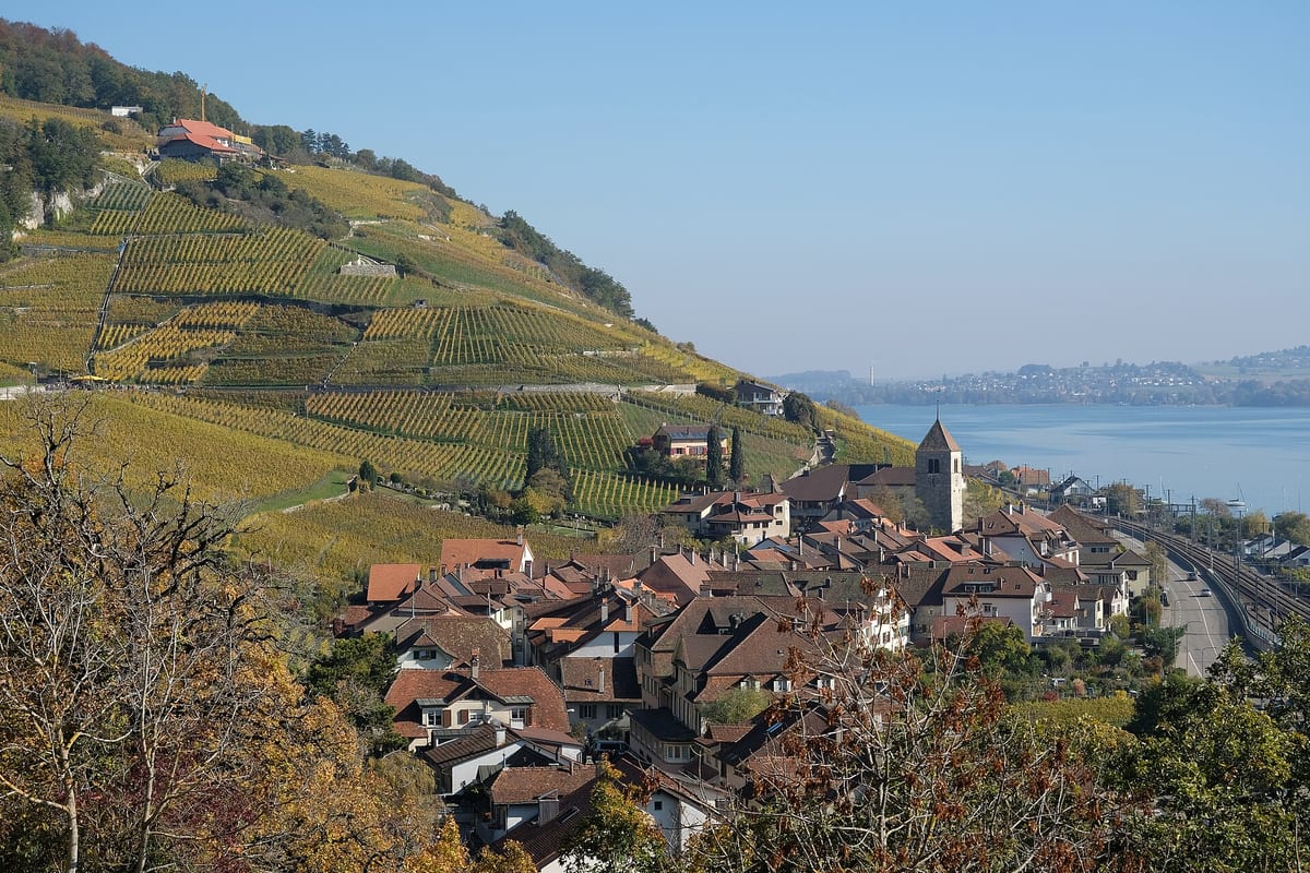 Bielersee — See