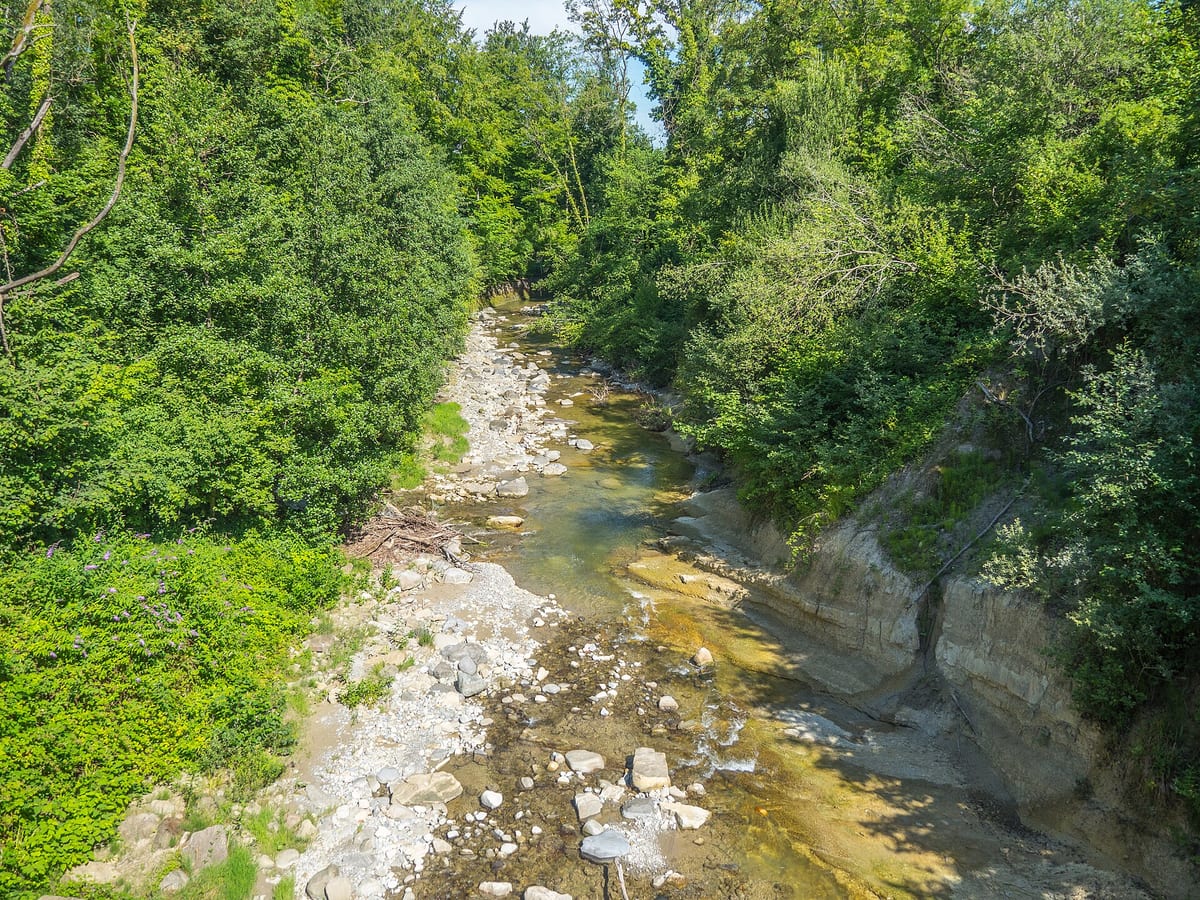 Goldach — Fluss