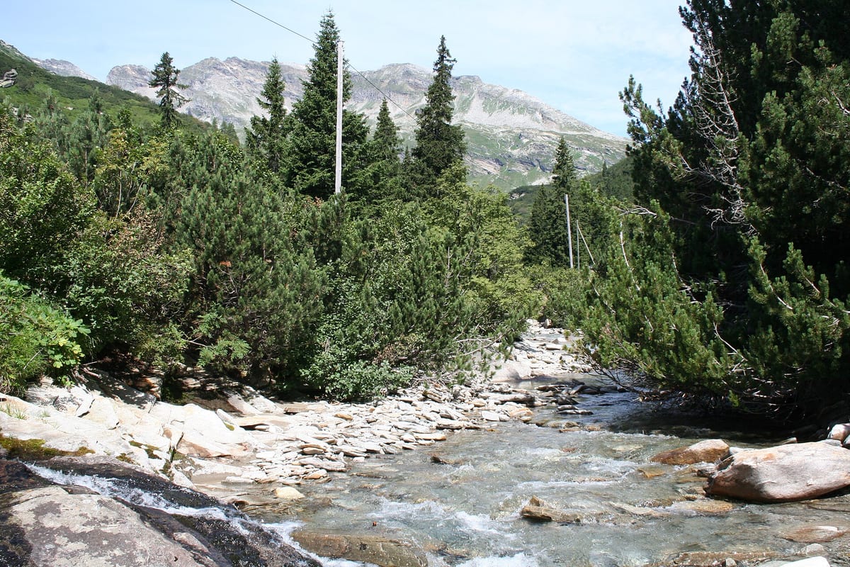 Moesa — Fluss