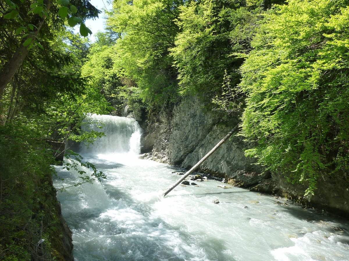 Plessur — Fluss