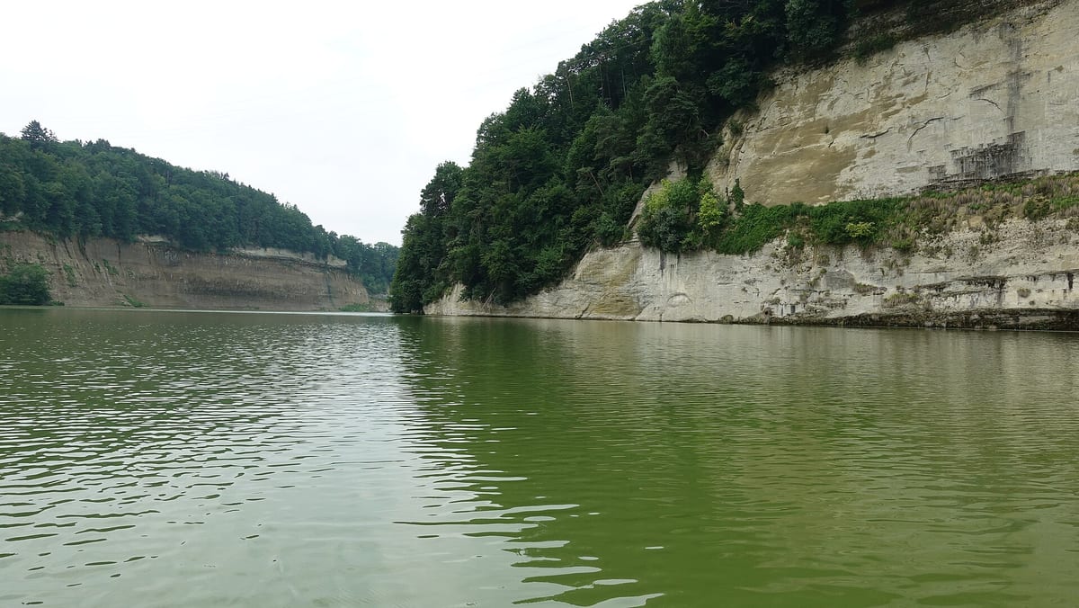 Schiffenensee — See