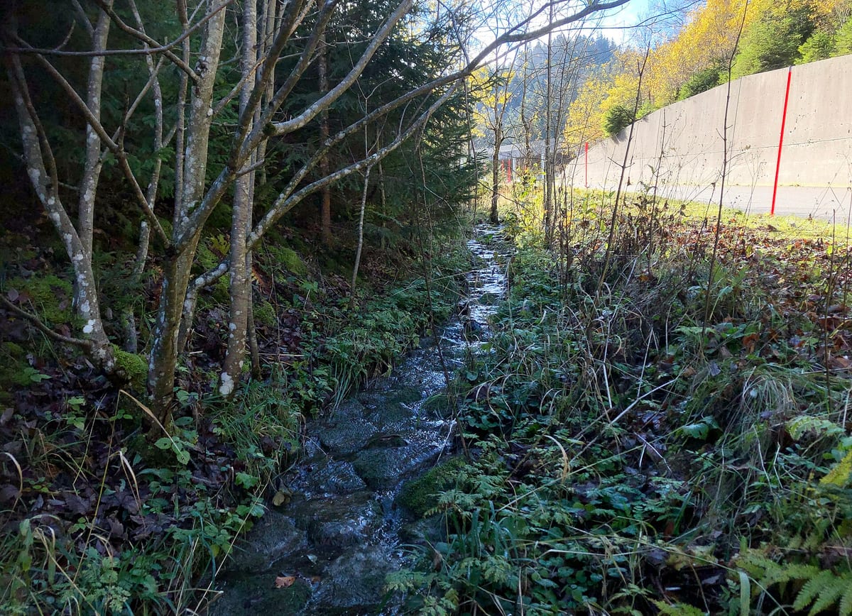 Suze — Fluss