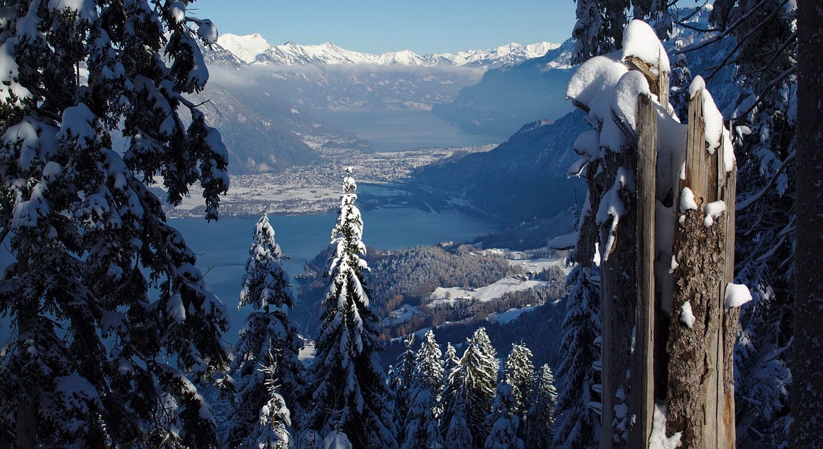 Thunersee — See