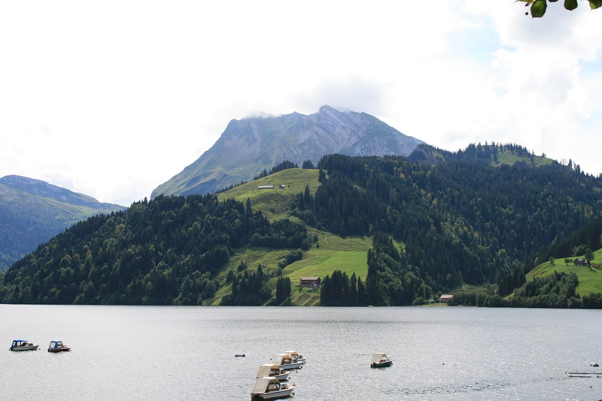 Wägitalersee — See