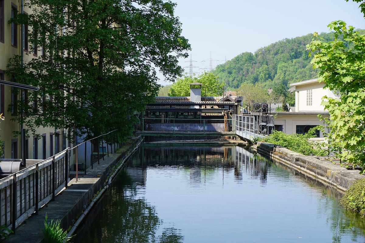 Wiese — Fluss