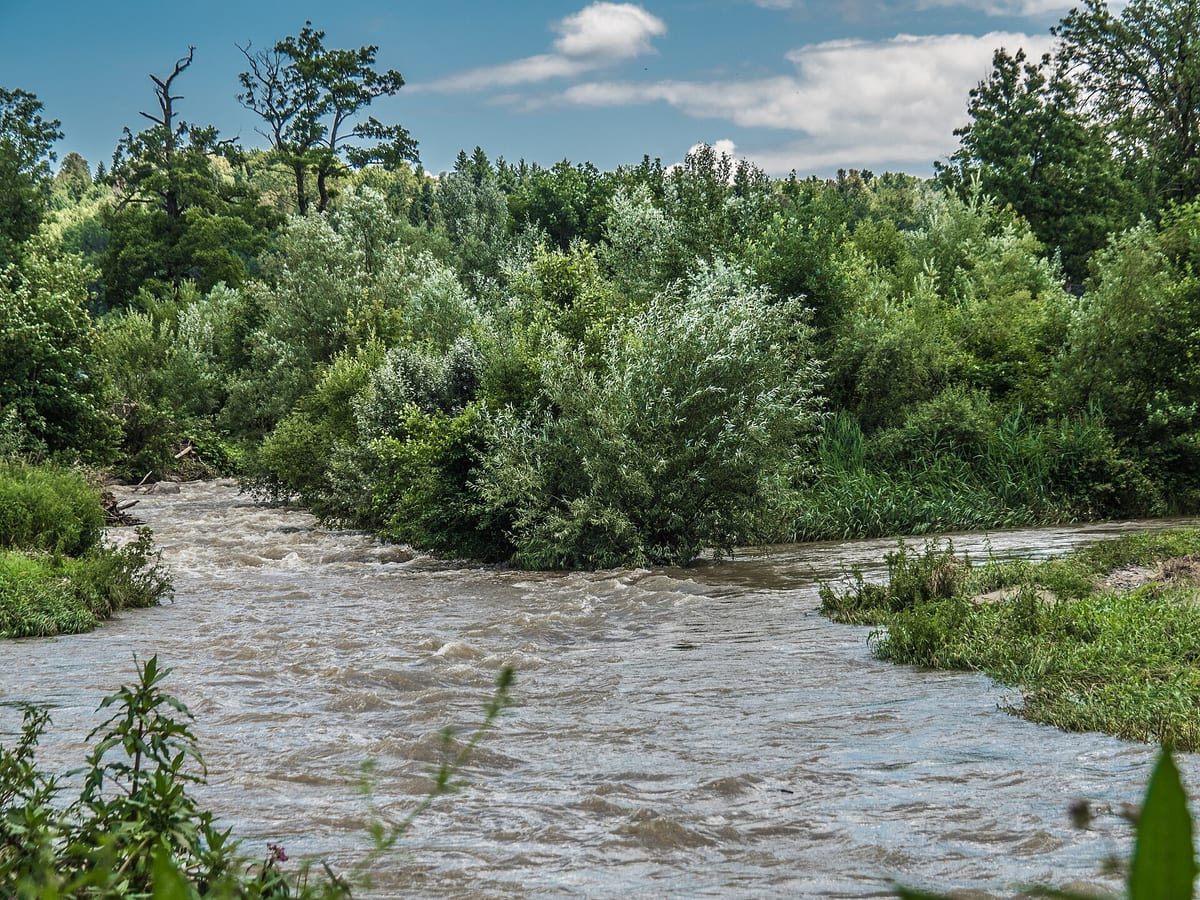 Wyna — Fluss
