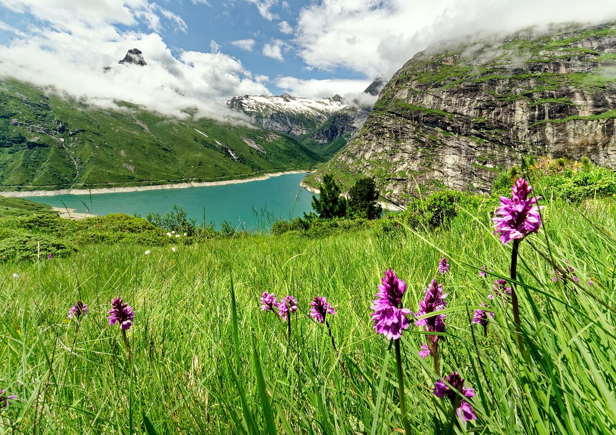 Zervreilasee — See